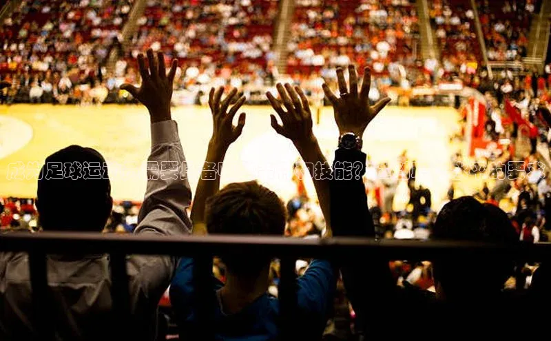 2121非凡体育安卓版小米成为足球运动员需要具备哪些条件和技能？达到职业水平的要求