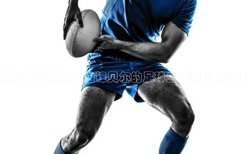 非凡体育2121app官网版百度 H5揭秘足球明星右边锋贝尔的足球生涯和个人故事
