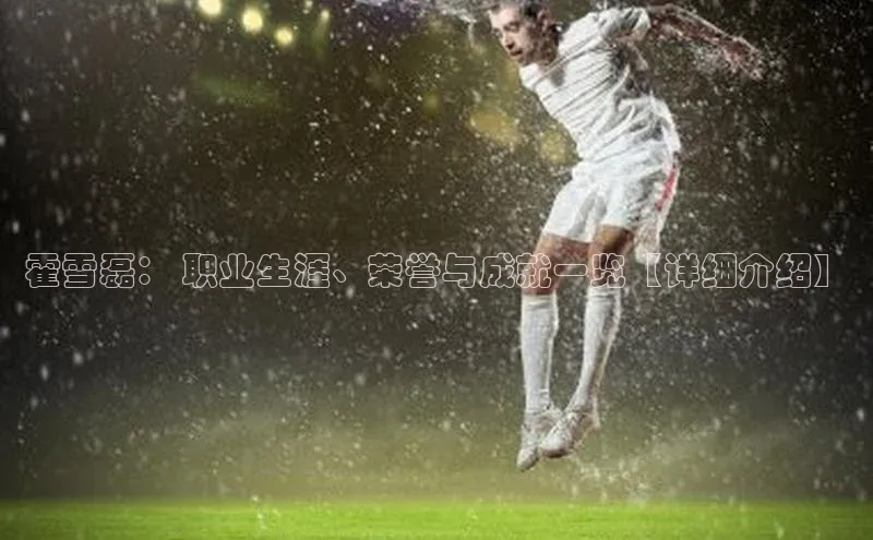 非凡体育官网百度大脑霍雪磊： 职业生涯、荣誉与成就一览【详细介绍】