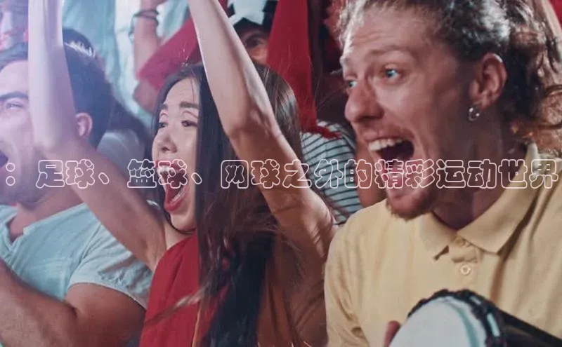 2121非凡体育登录入口元隆雅图：足球、篮球、网球之外的精彩运动世界