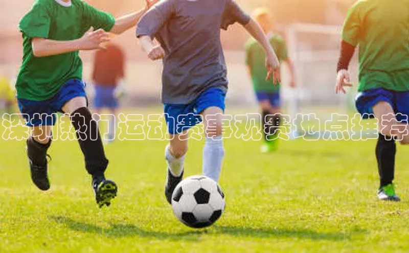 深圳热门运动赛事观赛地点推荐