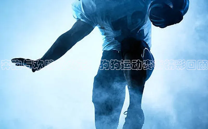 奔跑与欢腾的火花：狗狗运动赛事精彩回顾