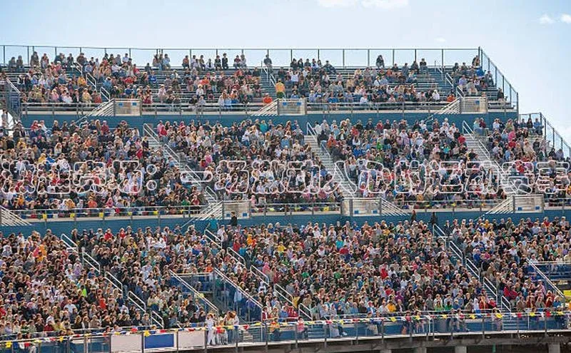 激越赛场：一场激动人心的运动赛事