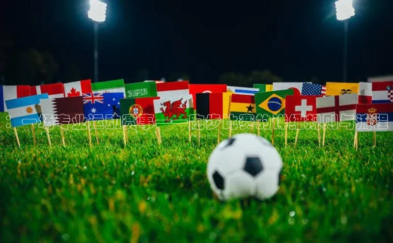 ：一场专业运动赛事——跑步比赛的详细规则与流程