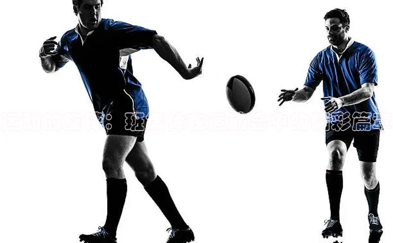 运动的旋律：班集体在运动会中的精彩篇章