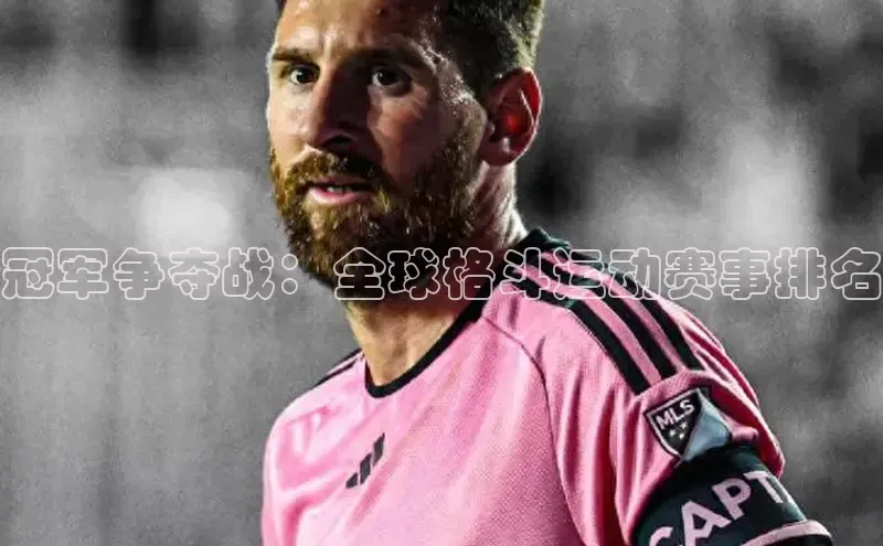 冠军争夺战：全球格斗运动赛事排名