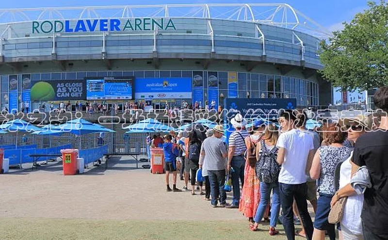 冰之韵：一场场精彩绝伦的冰壶竞技