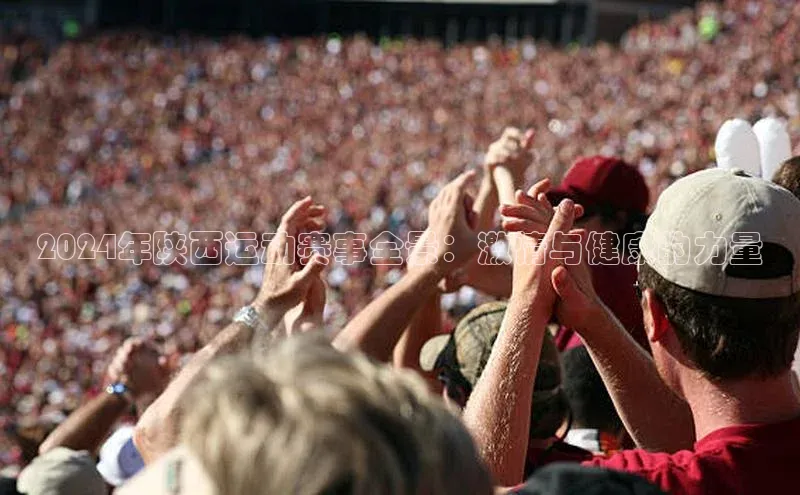 2024年陕西运动赛事全景：激情与健康的力量