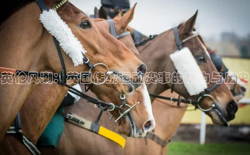 英伦风潮：英国传统运动赛事的魅力与历史