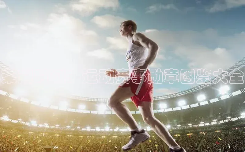 荣耀时刻：运动赛事勋章图鉴大全