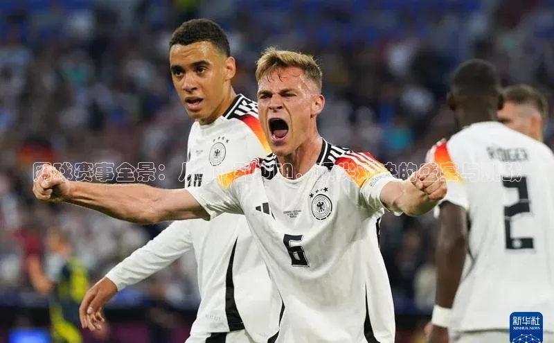 2121非凡app官方下载