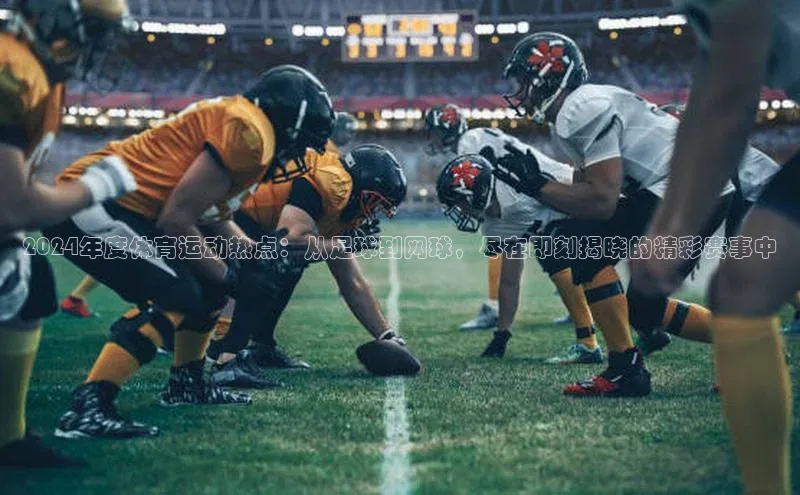 2024年度体育运动热点：从足球到网球，尽在即刻揭晓的精彩赛事中