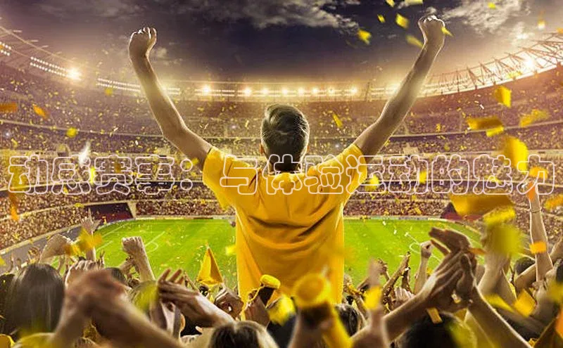 动感赛事：与体验运动的魅力