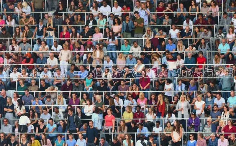 赛道上的思考：一次世界汽车运动赛事的心得与感悟